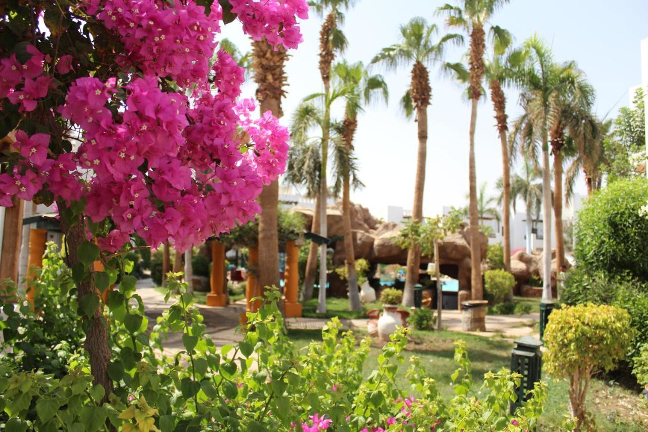 Herrmes Hospitality Sharm el-Sheikh Eksteriør billede